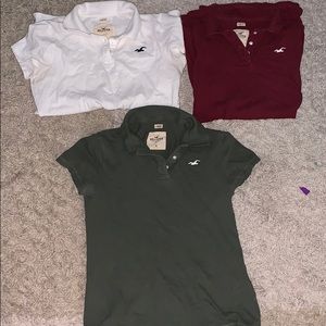 3 hollister polos